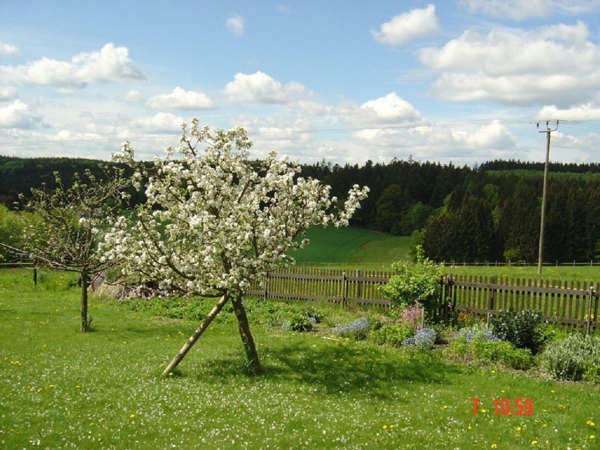 Pension Steiger Бад-Грисбах Экстерьер фото